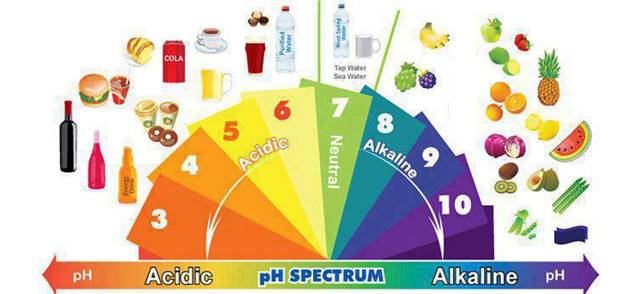alkaline care dieta alcalina