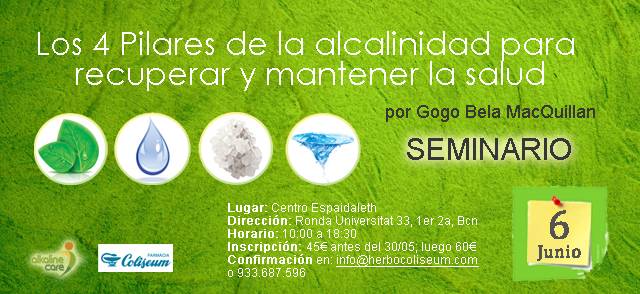 Banner-conferencia-4-Pilares-6-Junio